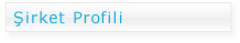 Gtech �irket Profili
