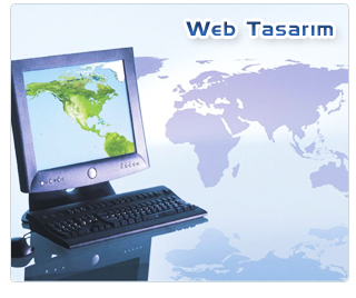 Web Tasar�m