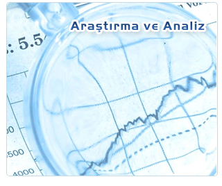 Web Tasar�m Ara�t�rma ve Analiz